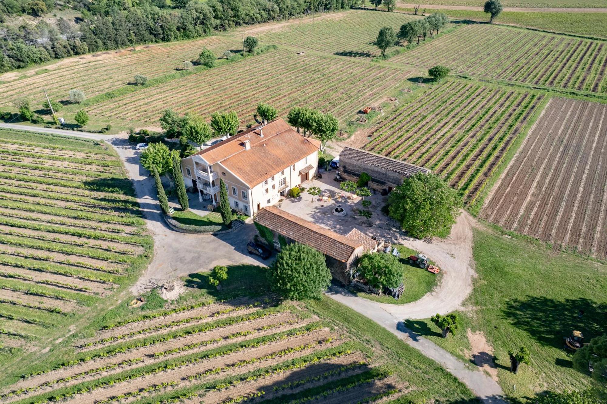 Gite Vert D'Olive Au Milieu Des Vignes - Chateau Les Apies Les Arcs-sur-Argens Exterior photo
